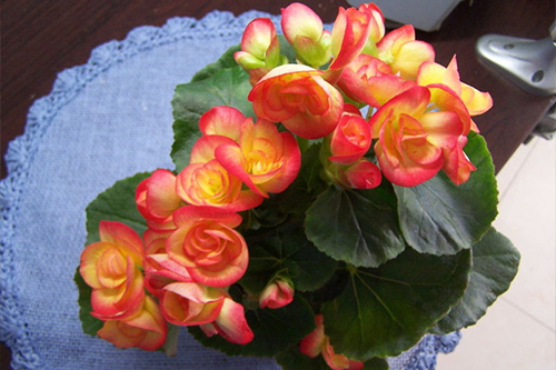 20170506093933334 (1).jpg