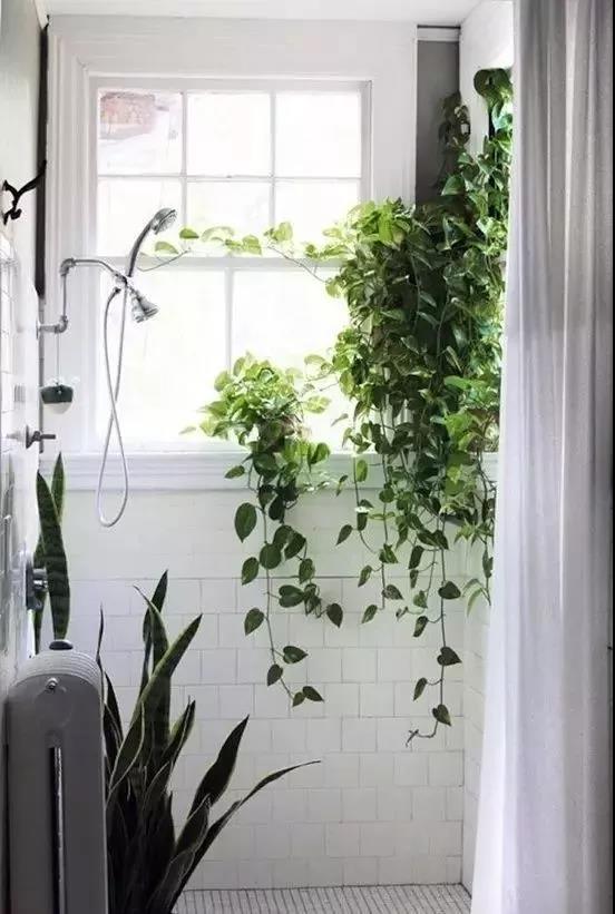 /UploadFiles/image/2018-05-31/5b0fb43d7f783.jpg 微信圖片_20180531163458.jpg