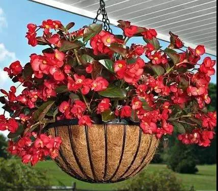 /UploadFiles/image/2018-05-31/5b0fb4ac9dcb6.jpg 微信圖片_20180531163525.jpg