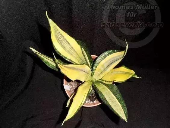 /UploadFiles/image/2018-05-31/5b0fb559747a5.jpg 微信圖片_20180531163541.jpg