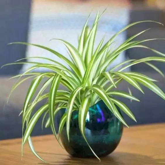 /UploadFiles/image/2018-05-31/5b0fb571471d3.jpg 微信圖片_20180531163549.jpg