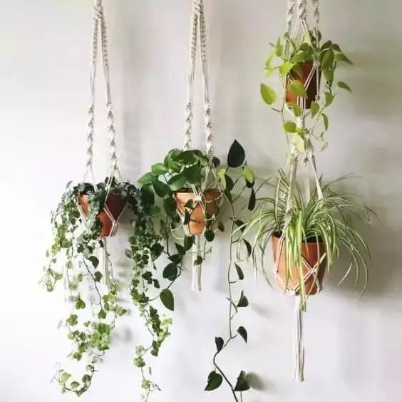 /UploadFiles/image/2018-05-31/5b0fb58bc405c.jpg 微信圖片_20180531163554.jpg