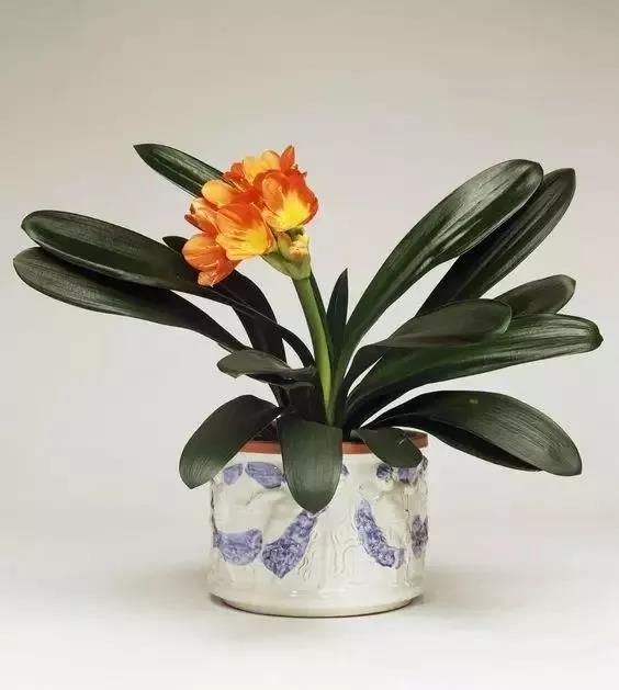 /UploadFiles/image/2018-05-31/5b0fb59c9cb2e.jpg 微信圖片_20180531163558.jpg