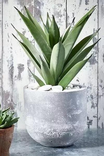 /UploadFiles/image/2018-05-31/5b0fb5d644231.jpg 微信圖片_20180531163615.jpg