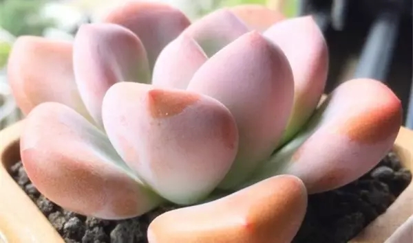 640 (1).webp (13).jpg