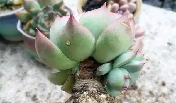 640 (1).webp (15).jpg