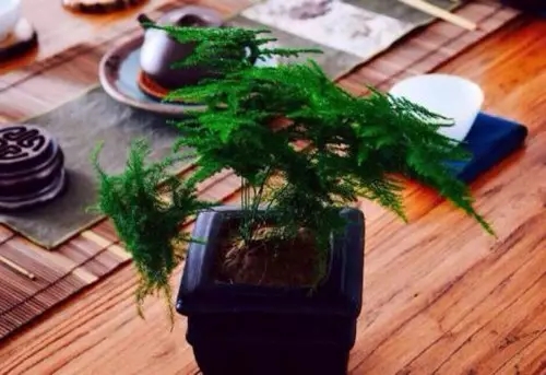 640 (1).webp (16).jpg