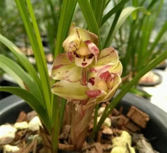 640 (1).webp (5).jpg