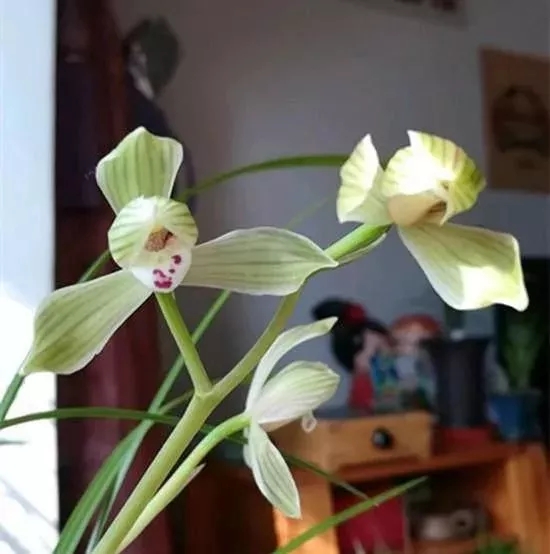 640 (1).webp (4).jpg