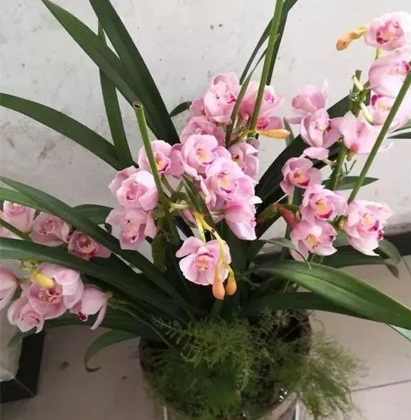 640 (1).webp (6).jpg