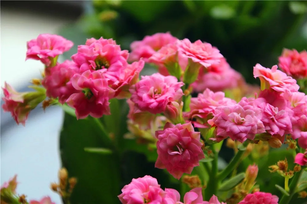 /UploadFiles/image/2018-11-14/5beb71fc2bb71.jpg /UploadFiles/image/2018-11-14/5beb71fc2bb71.jpg