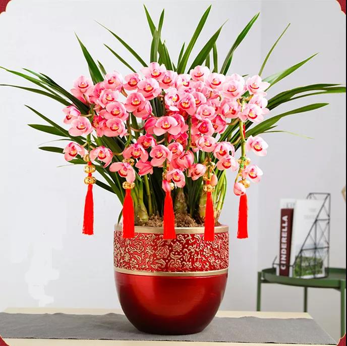 /UploadFiles/image/2020-01-06/5e128cc17d7d1.jpg /UploadFiles/image/2020-01-06/5e128cc17d7d1.jpg