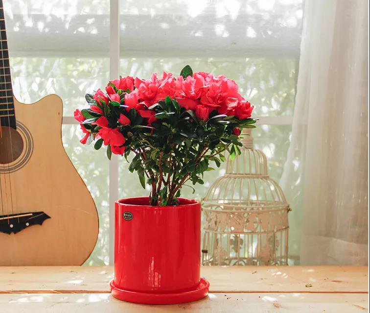 /UploadFiles/image/2020-01-06/5e128d0b907e2.jpg /UploadFiles/image/2020-01-06/5e128d0b907e2.jpg