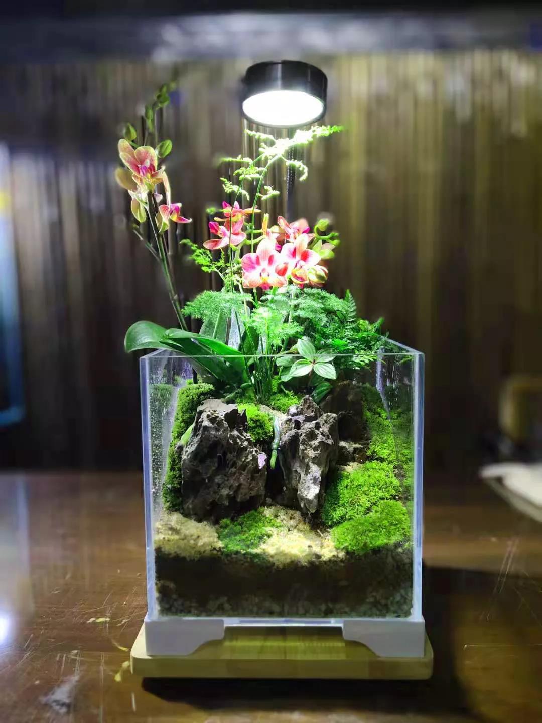 /UploadFiles/image/2020-01-06/5e128d63373a8.jpg /UploadFiles/image/2020-01-06/5e128d63373a8.jpg