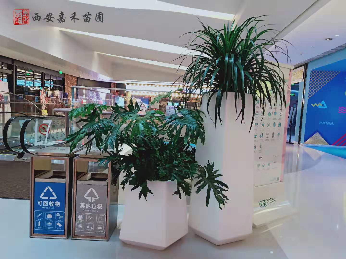 /UploadFiles/image/2020-01-07/5e144648ad17a.jpg /UploadFiles/image/2020-01-07/5e144648ad17a.jpg