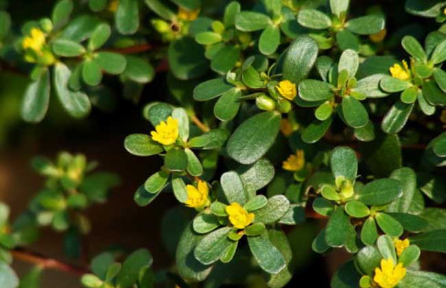 /UploadFiles/image/2020-04-17/5e99184d9269d.jpg 20170224084237867.jpg