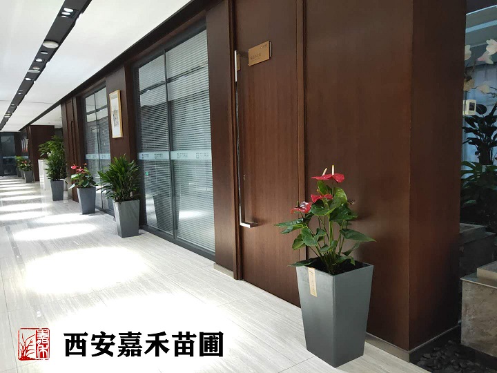 /UploadFiles/image/2020-06-09/5edf514f25ebf.jpg 微信圖片_20200602081503副本.jpg