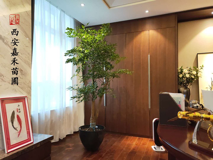 /UploadFiles/image/2020-06-11/5ee195617e8b8.jpg 微信圖片_20200602081449副本.jpg