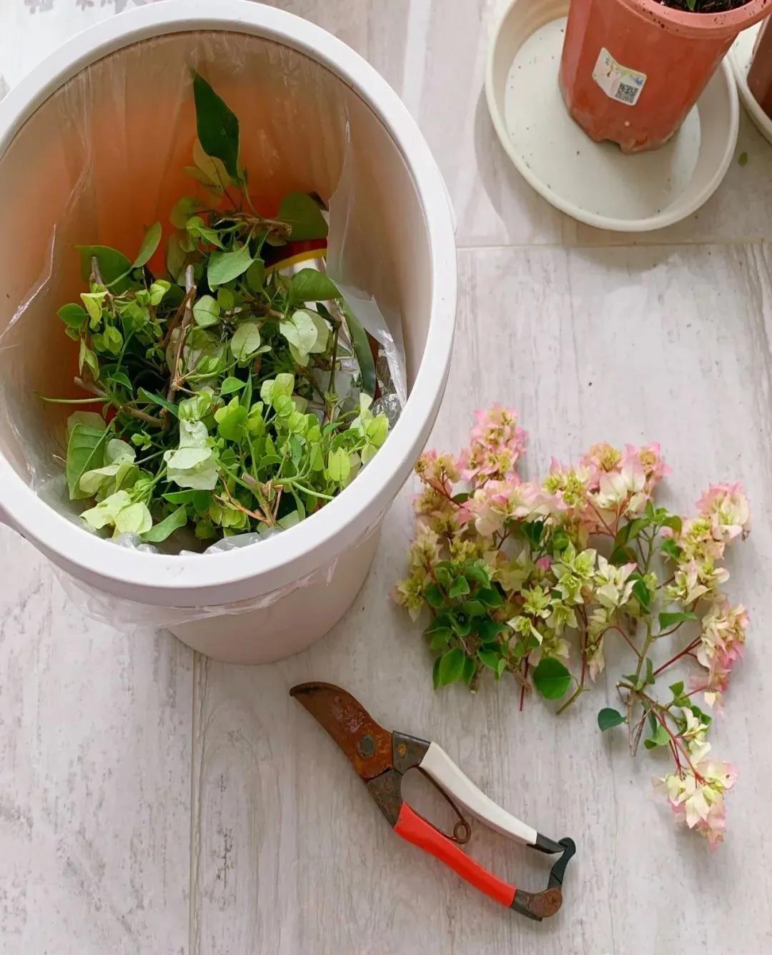 /UploadFiles/image/2020-08-19/5f3c78db371fc.jpg /UploadFiles/image/2020-08-19/5f3c78db371fc.jpg