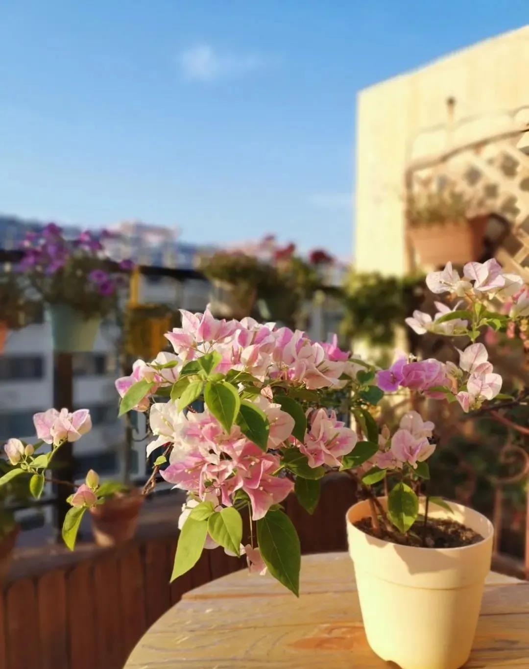 /UploadFiles/image/2020-08-19/5f3c79292f8cb.jpg /UploadFiles/image/2020-08-19/5f3c79292f8cb.jpg