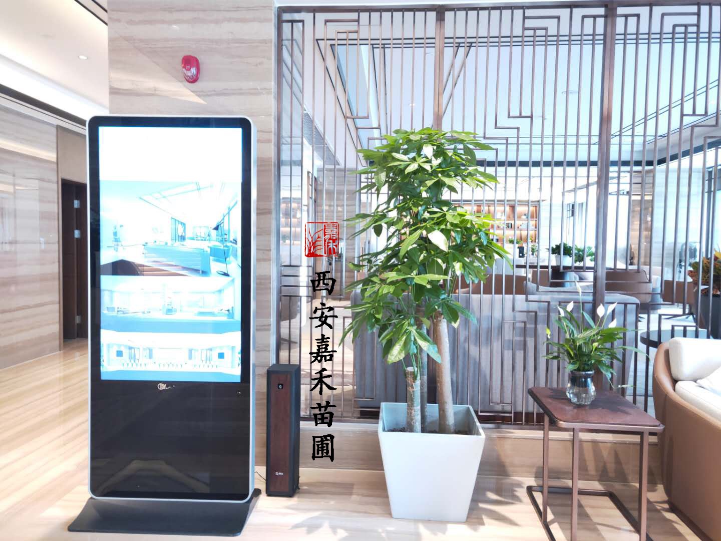 西安接待室高端綠植租賃.jpg