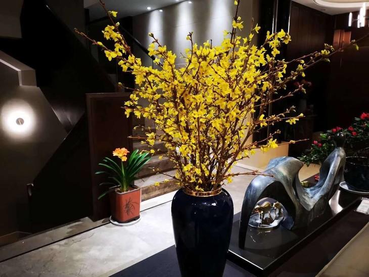 西安寸寸金租擺租賃