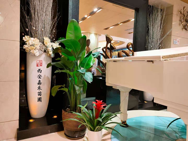 西安嘉禾苗圃鶴望蘭綠植租擺 西安嘉禾苗圃鶴望蘭綠植租擺