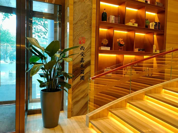 西安嘉禾苗圃鶴望蘭綠植租賃 西安嘉禾苗圃鶴望蘭綠植租賃