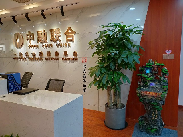 西安嘉禾苗圃發(fā)財(cái)樹綠植租賃