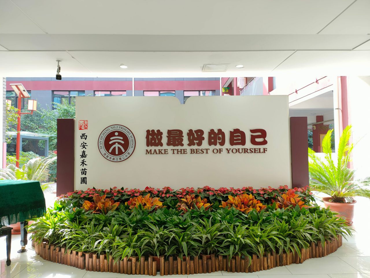 西安巴西木租擺