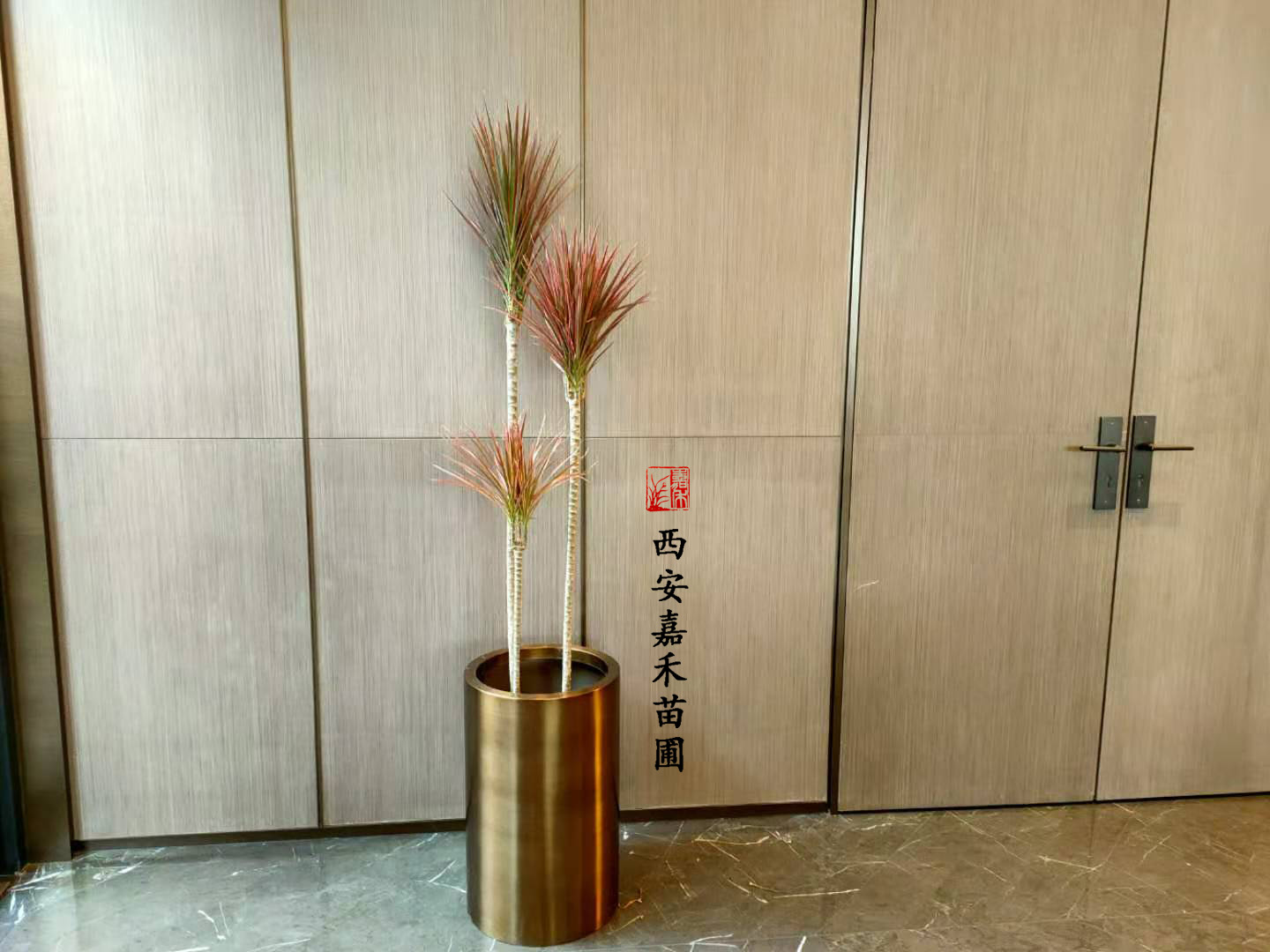 西安千年木租擺