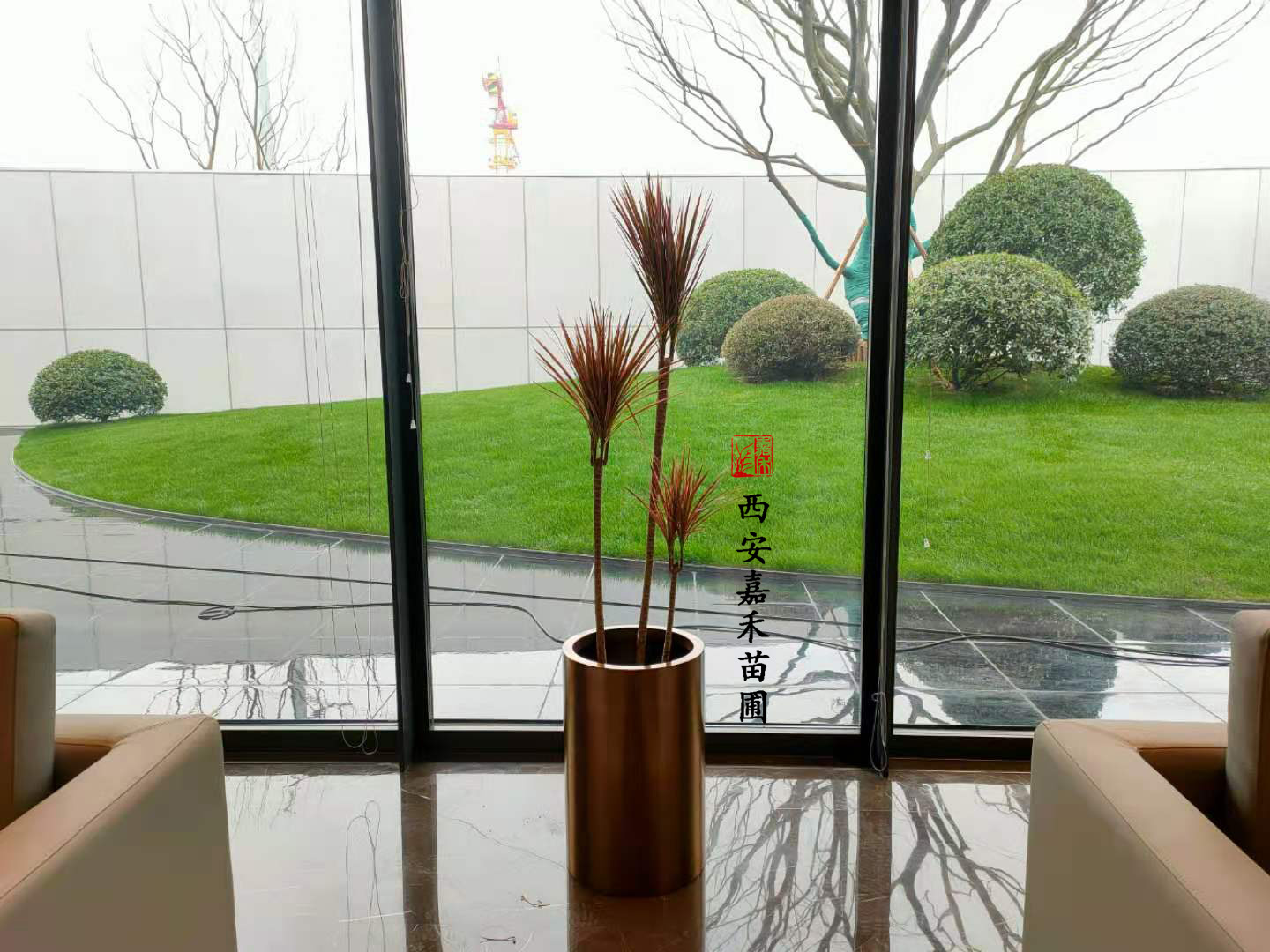 西安千年木租賃