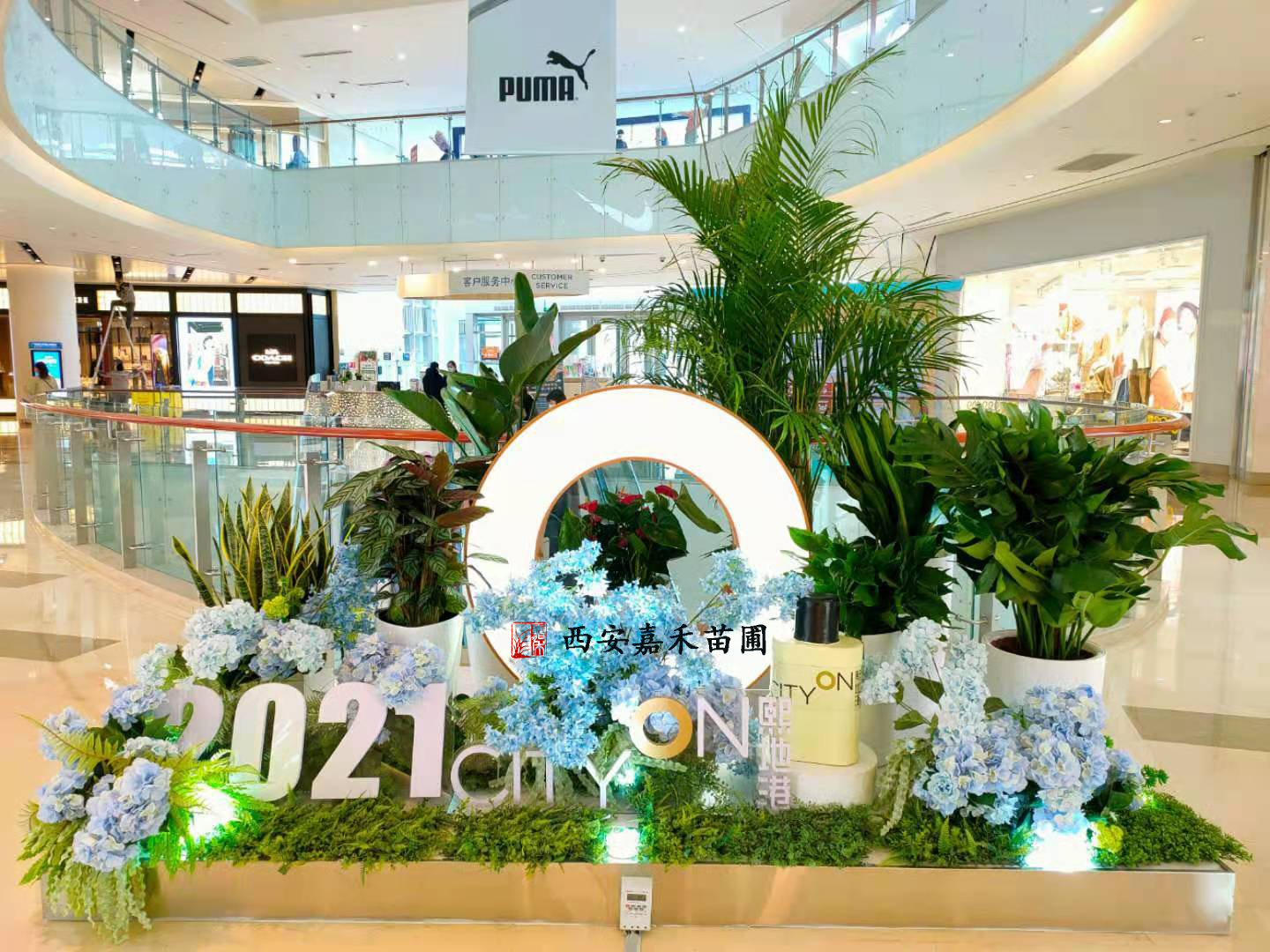 西安花卉租擺優(yōu)勢|西安嘉禾苗圃 西安花卉租擺優(yōu)勢|西安嘉禾苗圃