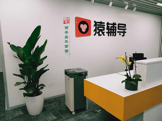 西安辦公室花卉租賃|嘉禾苗圃