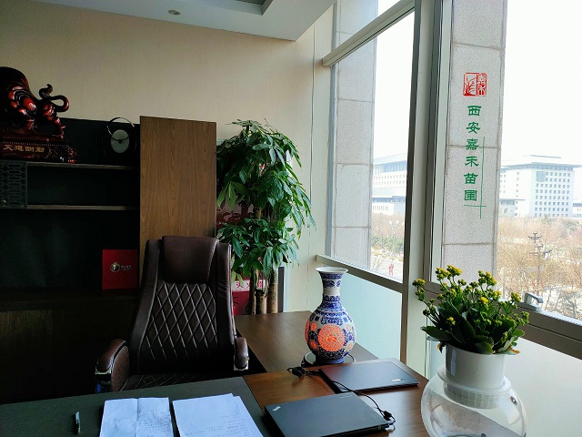 西安辦公室綠植租擺|嘉禾苗圃