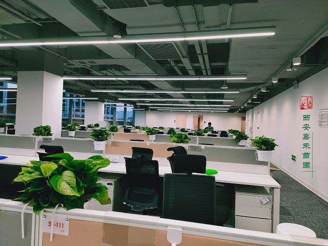 西安辦公室綠植租賃|嘉禾苗圃