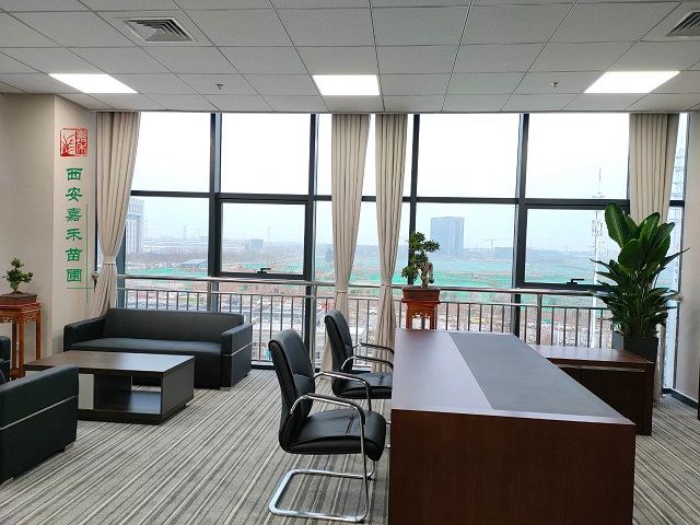 西安辦公室花卉綠植租擺方案|嘉禾苗圃