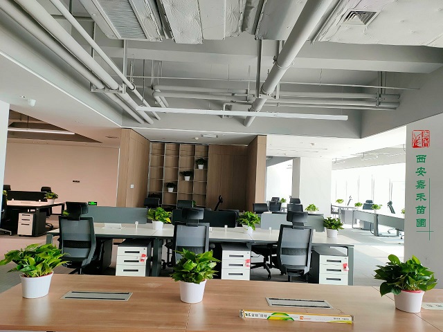 西安辦公室花卉租擺|嘉禾苗圃