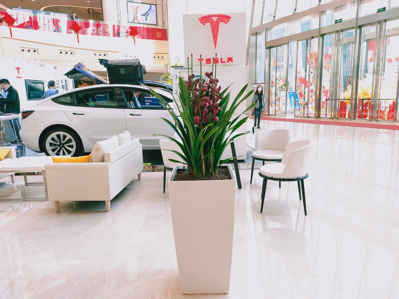 西安綠植租賃公司|嘉禾苗圃 西安綠植租賃公司|嘉禾苗圃