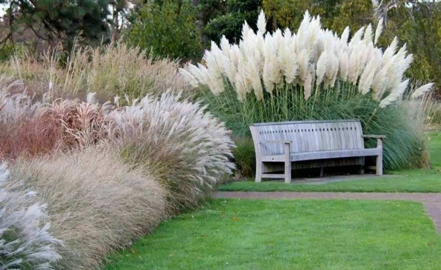 西安室外景觀方案|嘉禾苗圃