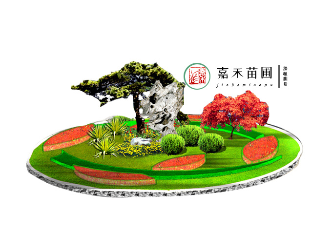 西安學(xué)校綠植租賃效果圖|嘉禾苗圃