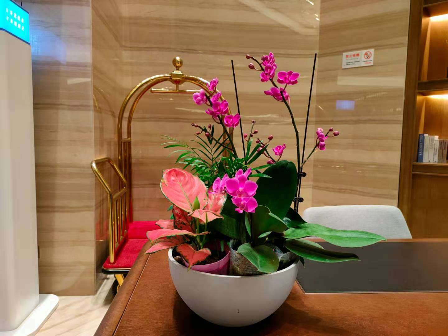 西安花卉租賃|嘉禾苗圃 西安花卉租賃|嘉禾苗圃