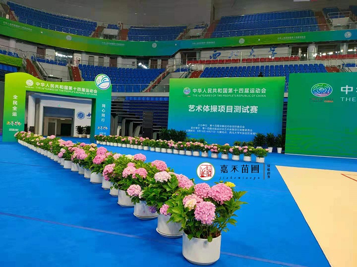 全運(yùn)會(huì)綠植租賃|西安嘉禾苗圃