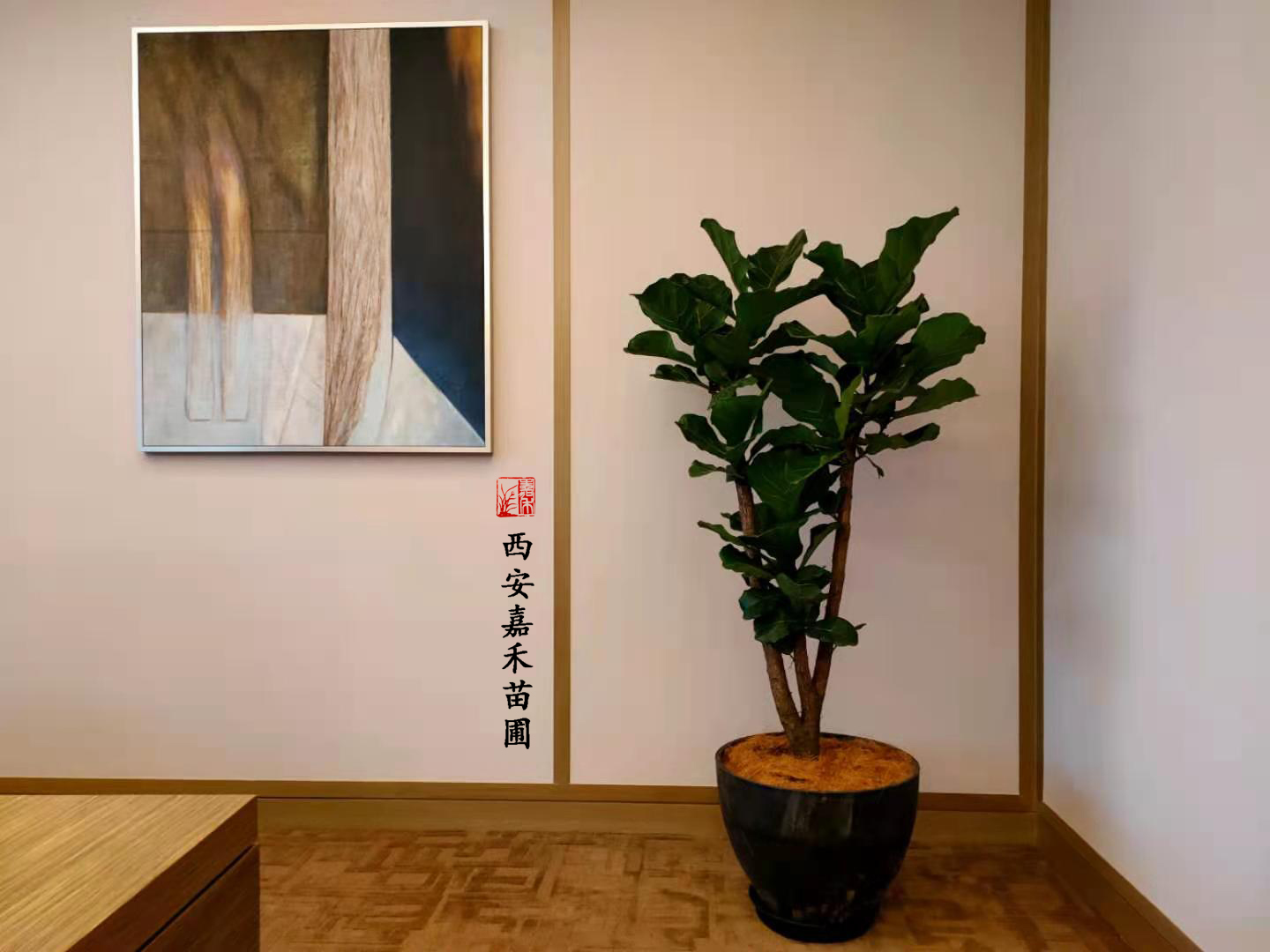 西安花卉租賃|嘉禾苗圃 西安花卉租賃|嘉禾苗圃