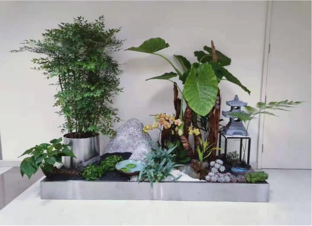 電梯廳入口墻綠植租擺方案|嘉禾苗圃