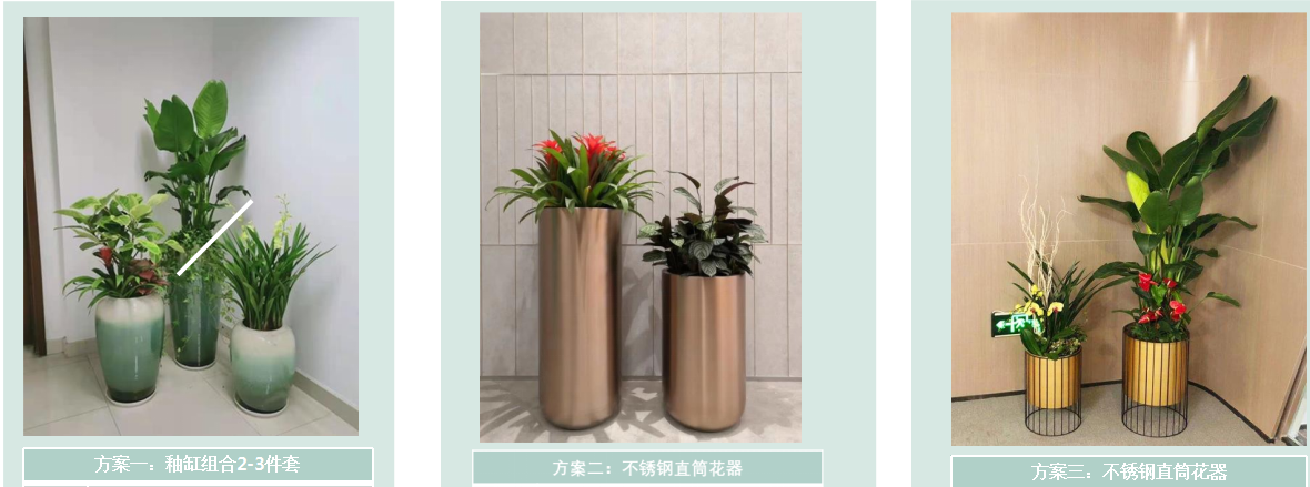 辦公區(qū)通道綠植租擺方案|嘉禾苗圃