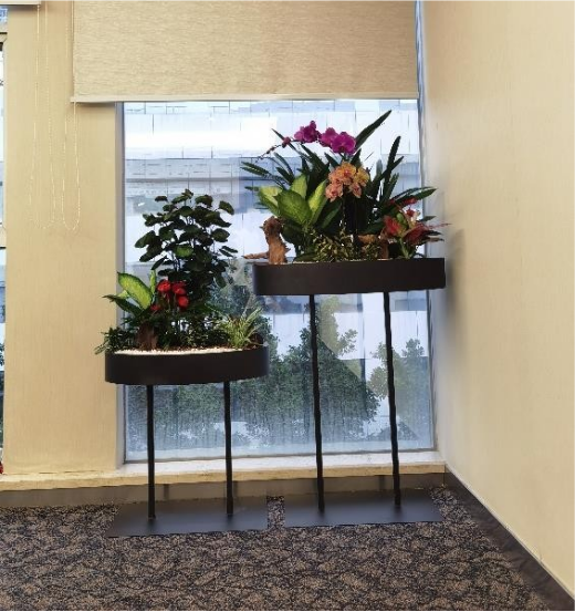 休閑區(qū)綠植租賃方案|西安嘉禾苗圃