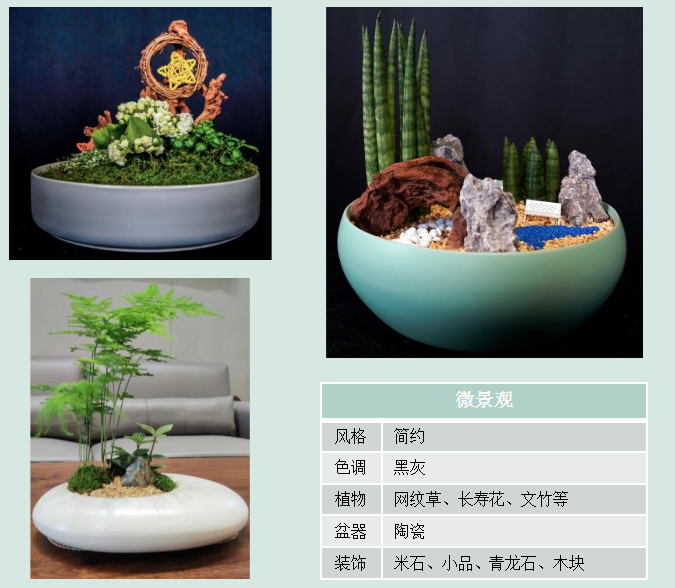 休閑區(qū)桌面擺放方案|嘉禾苗圃