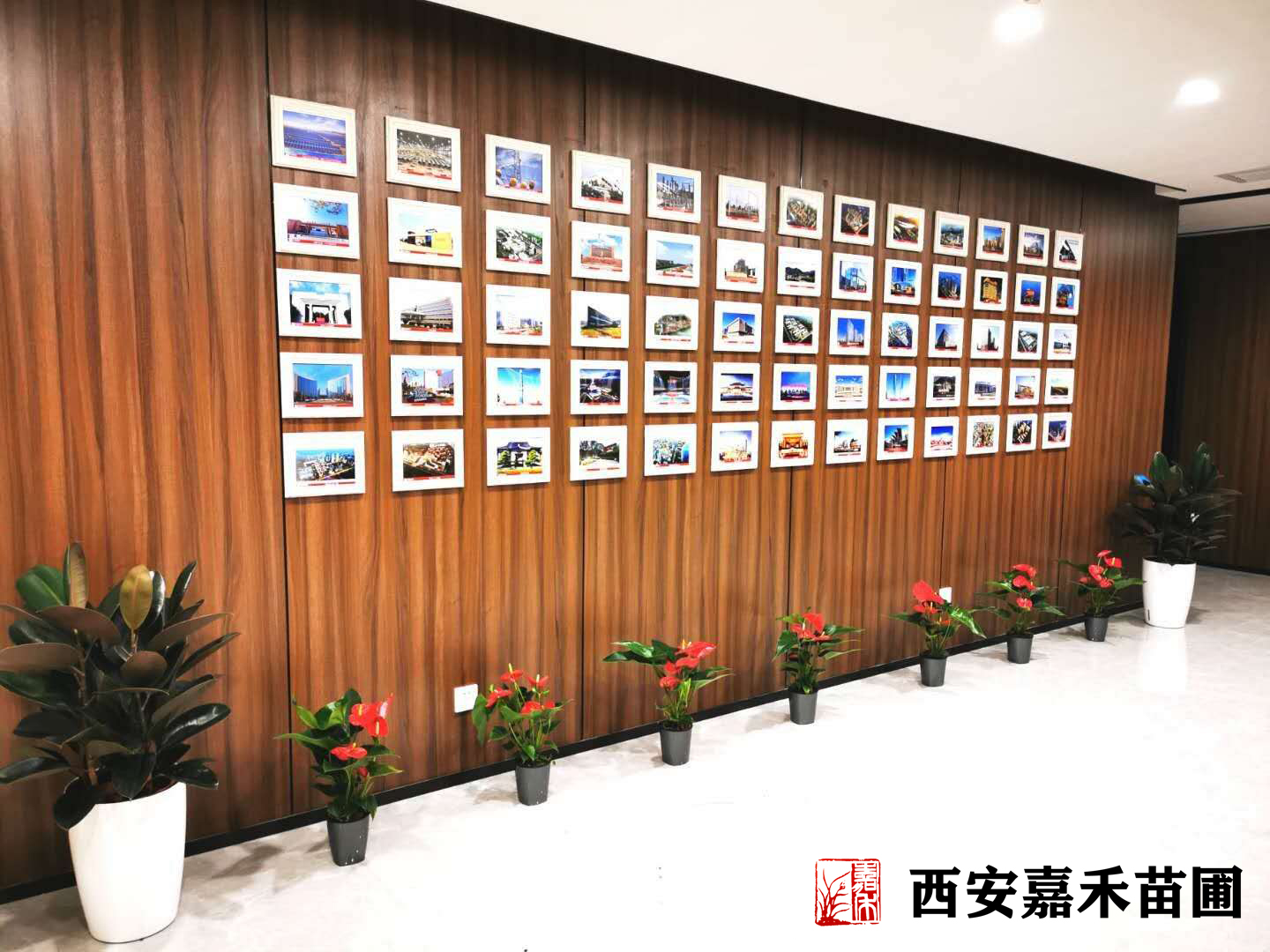 大廳綠植租賃方案|嘉禾苗圃