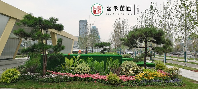 西安室外花境景觀|西安嘉禾苗圃